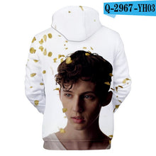 Load image into Gallery viewer, Troye Sivan 3D Sweatshirt